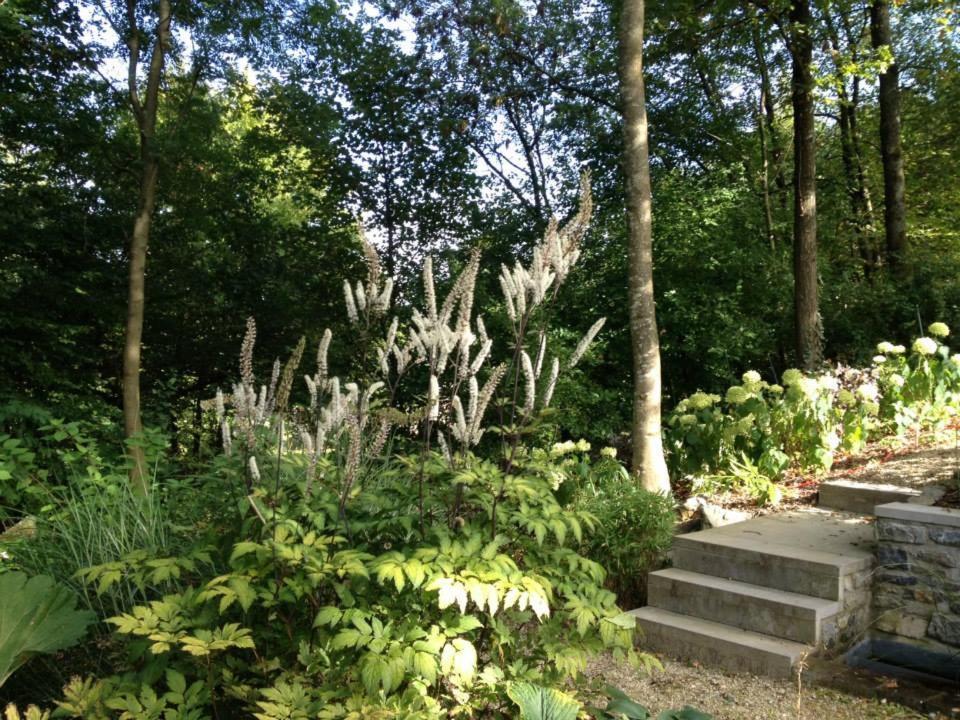 Ardenne Bnb 마르쉐앵파멩느 외부 사진